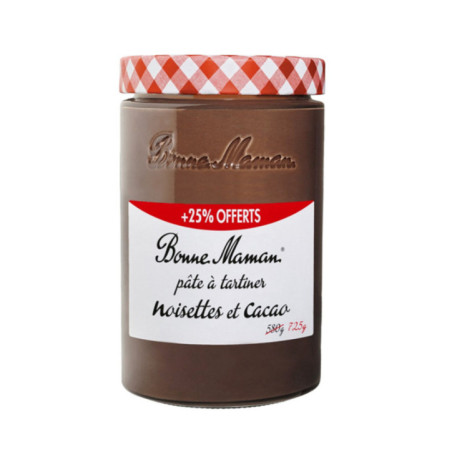 Pate a tartiner 580g+25% offerts