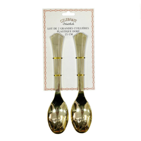 Lot de 2 grandes cuillieres plas