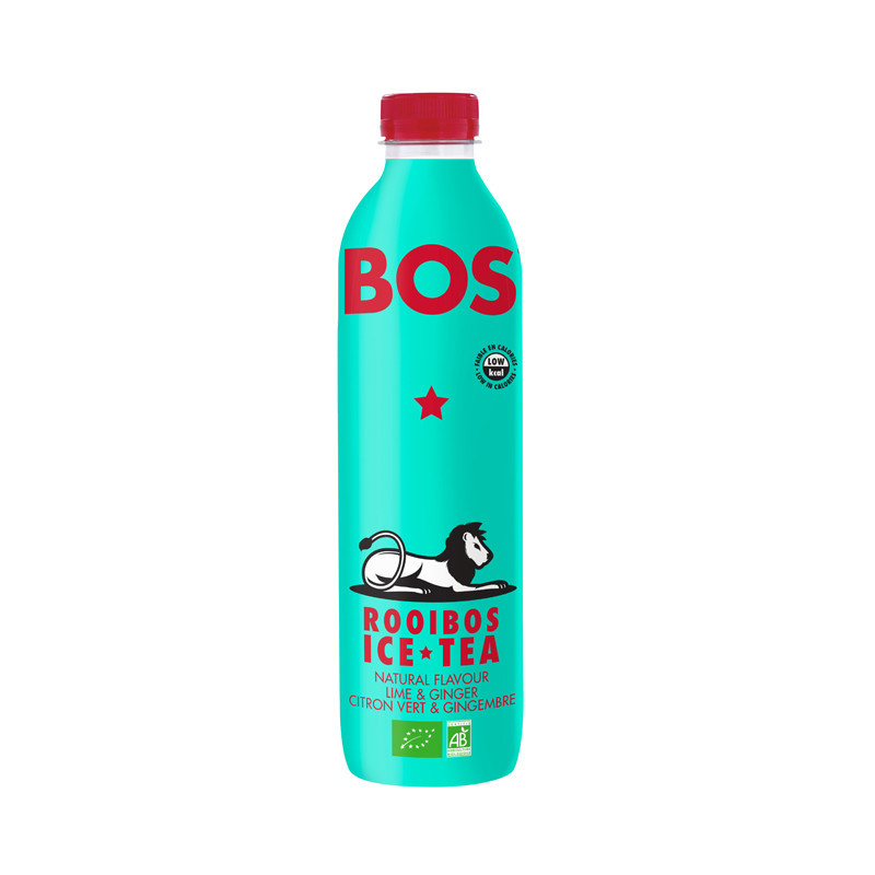 Ice tea citron gingembre 1l