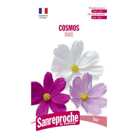 Graines cosmo varie