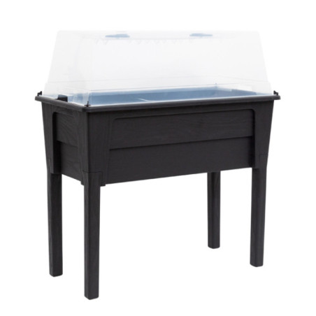 'espace potager + serre