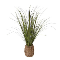 Herbes pot tresse h70cm