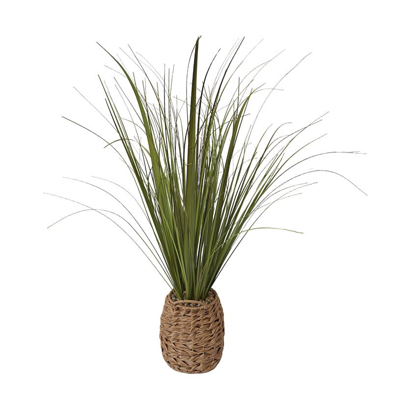 Herbes pot tresse h70cm