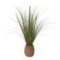 Herbes pot tresse h70cm