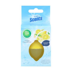 Desodorisant refrigerateur 30g