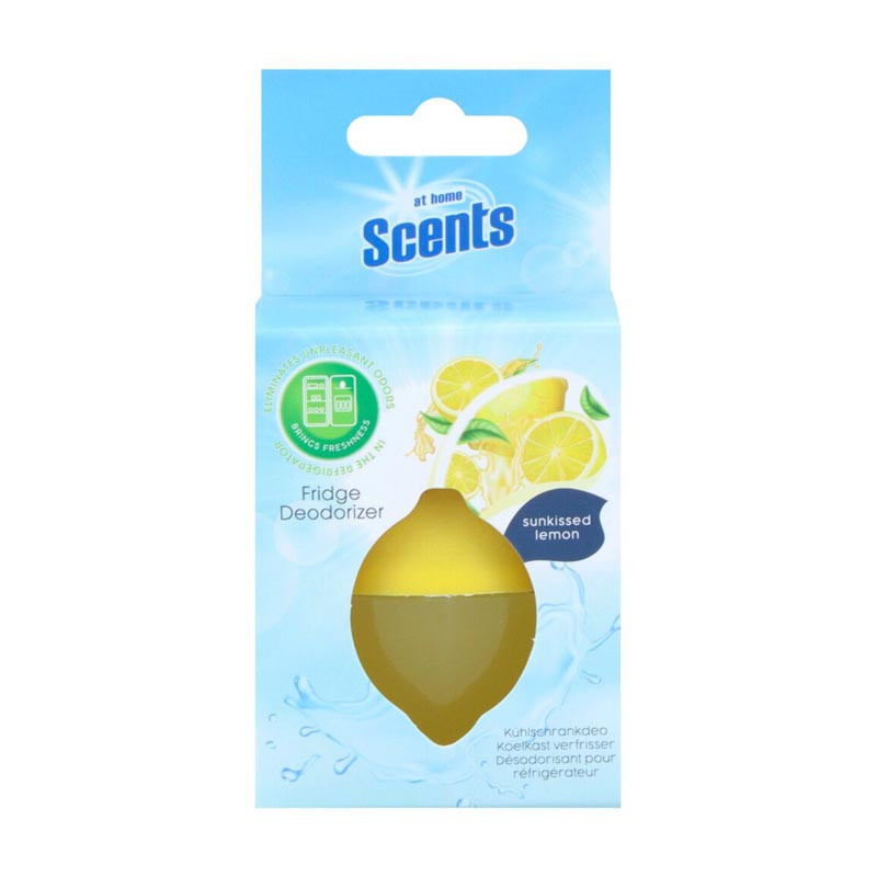 Desodorisant refrigerateur 30g