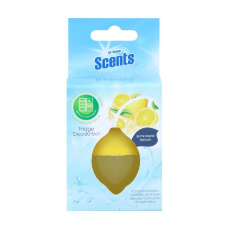 Desodorisant refrigerateur 30g