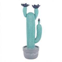 Cactus en pot grand format