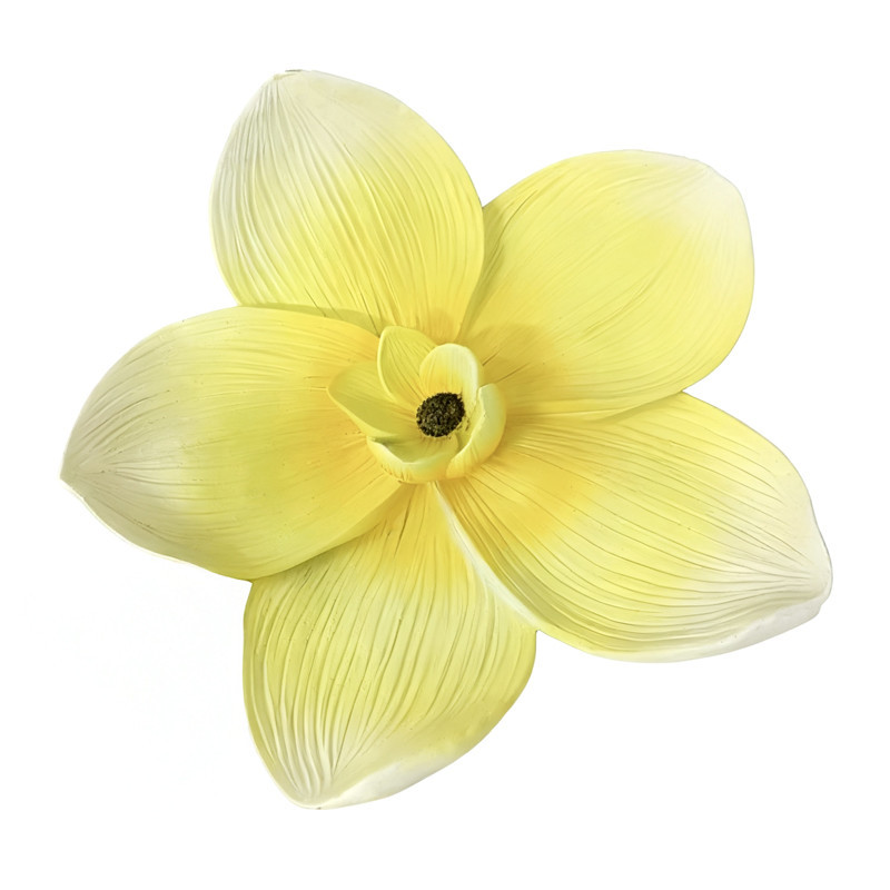 Fleurs deco murale frangipane