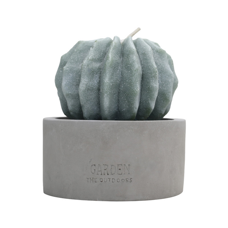 Bougie citronnelle forme cactus