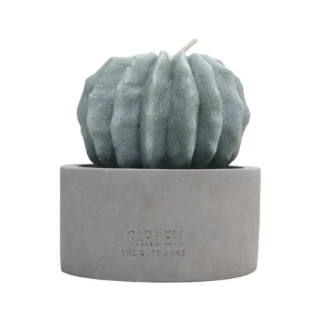 Bougie citronnelle forme cactus