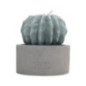 Bougie citronnelle forme cactus