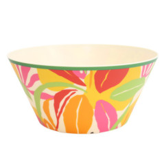 Saladier plastique d25cm hot tro