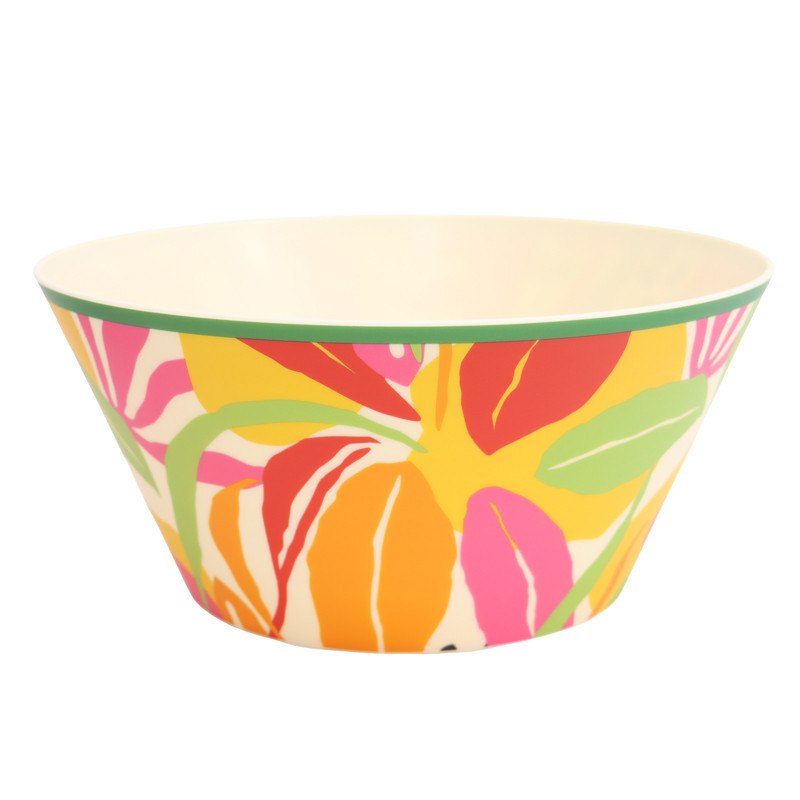 Saladier plastique d25cm hot tro