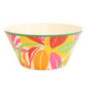 Saladier plastique d25cm hot tro