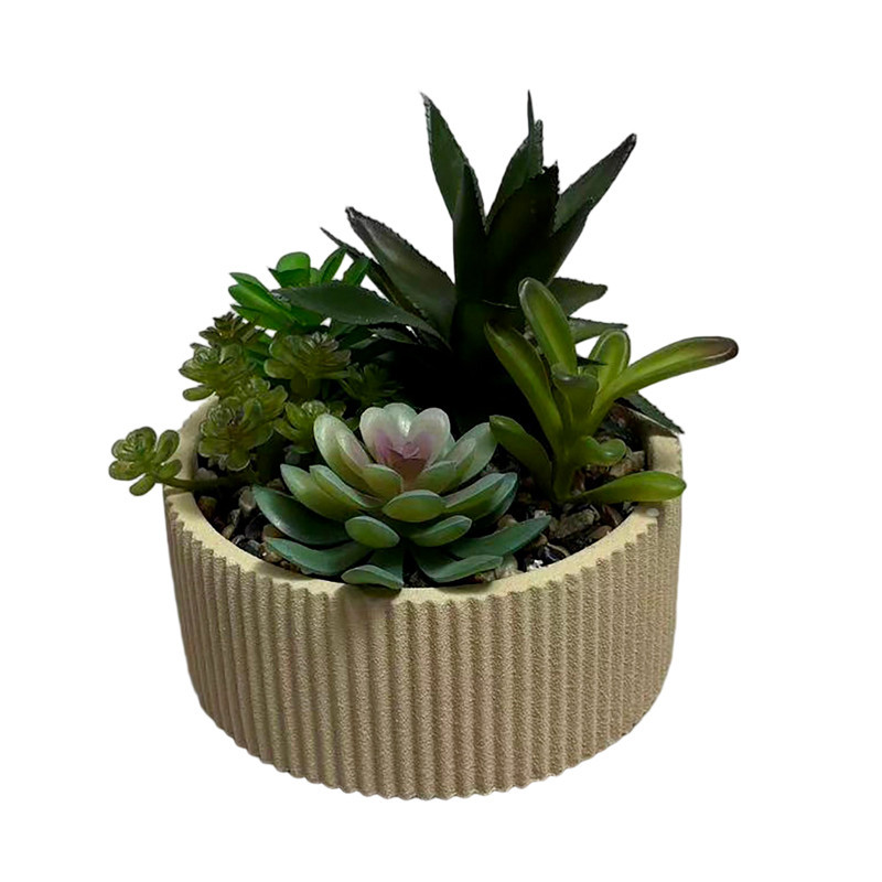 Succulentes pot strie
