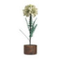 Decoration de table fleur