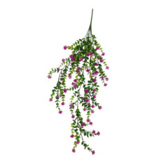 Tiges plantes pendantes fleuries