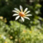 Piquet metal fleur oscillante x2