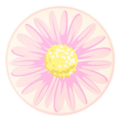 Assiette plastique d26cm garden