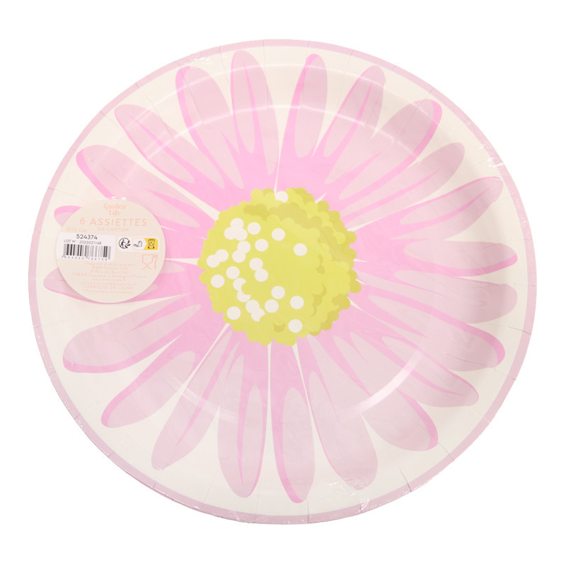 Assiette jetable d26cm x6 m24