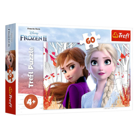 Puzzle reine des neiges enfant x