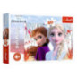 Puzzle reine des neiges enfant x