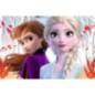 Puzzle reine des neiges enfant x