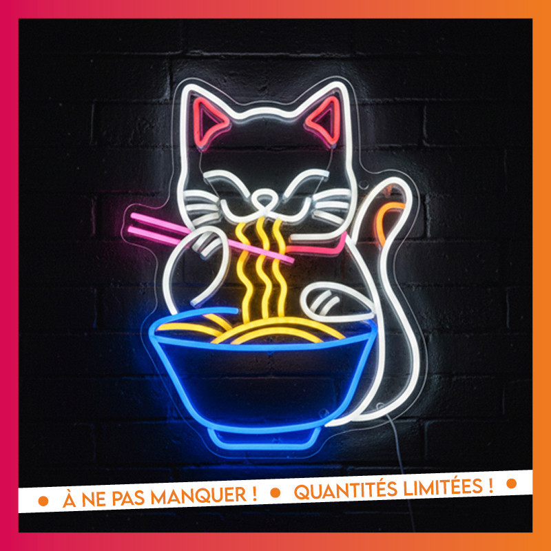 Pannaeau luminaux chat ramen neo