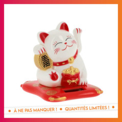 Chat du bonheur anime