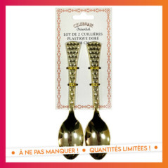 Lot de 2 cuillieres plastique do