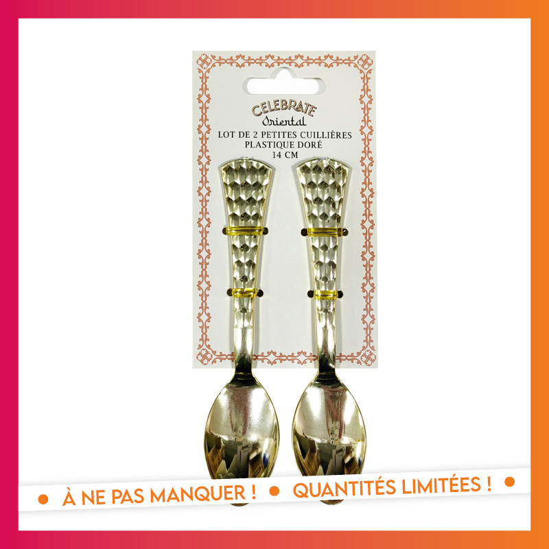 Lot de 2 petites cuillieres plas