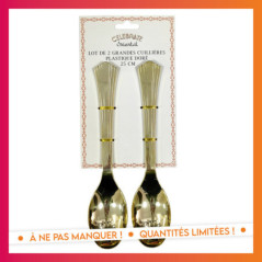 Lot de 2 grandes cuillieres plas