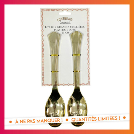 Lot de 2 grandes cuillieres plas