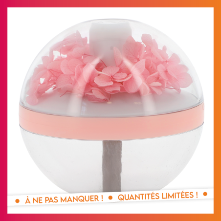 Diffuseur esprit japon