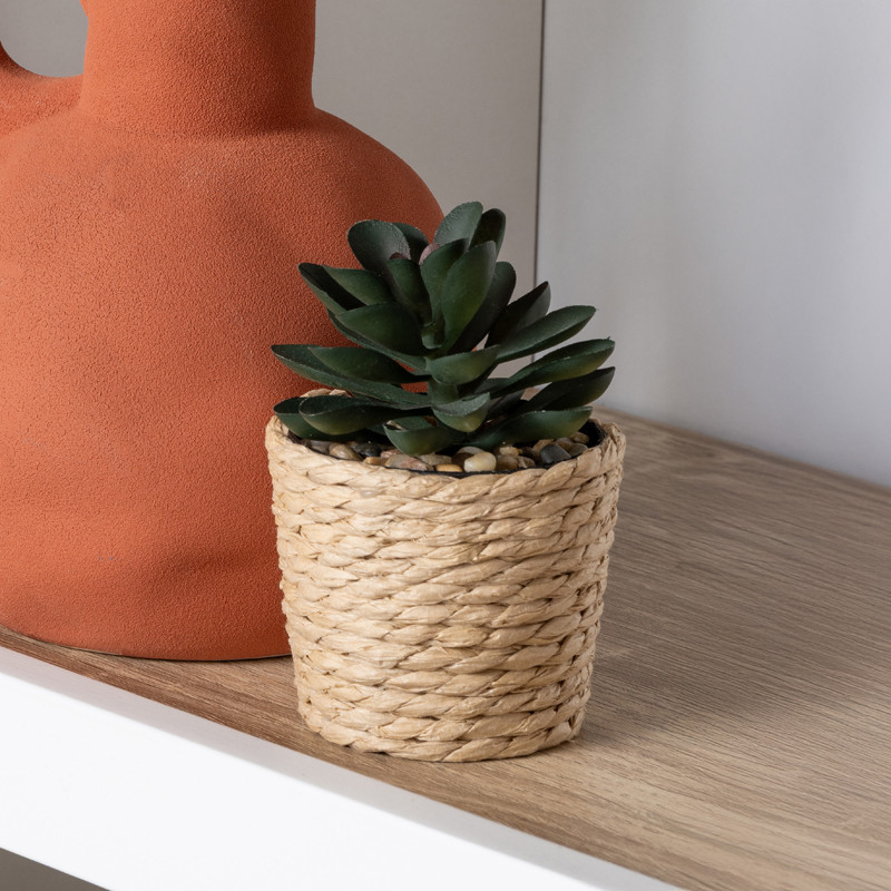 Succulente pot tresse