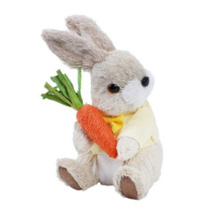 Lapin avec carotte 2 asst