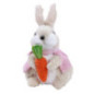 Lapin avec carotte 2 asst