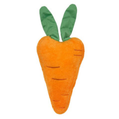 Coussin carrotte