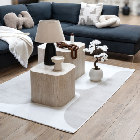 Tapis nantes noir et blanc 150x2