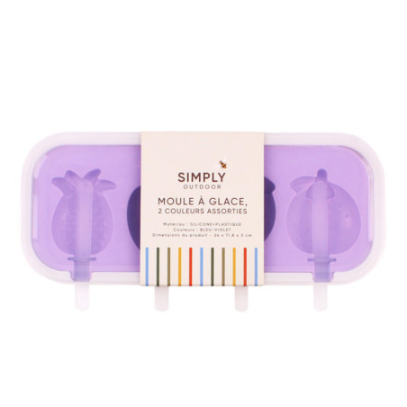 Moule a creme glacee