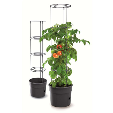 Pot de culture a tomate