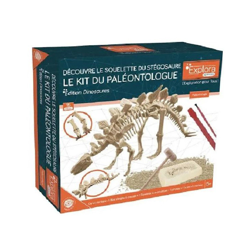 Explora paleontologue - stegosau