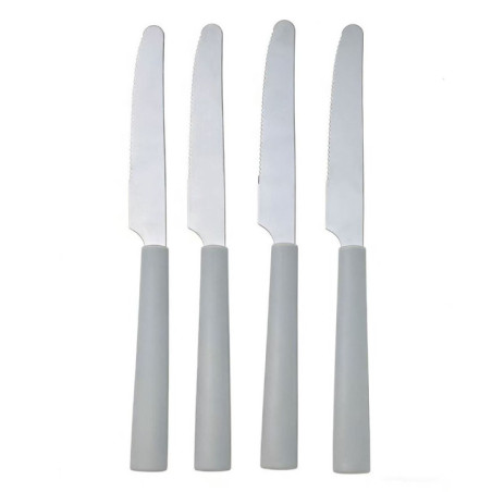 4 couteaux manche plastique