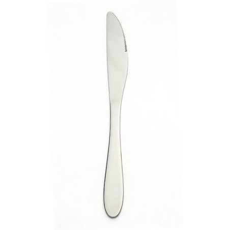 Lot de 2 couteaux tout inox