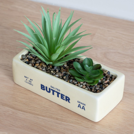 Plante pot beurre