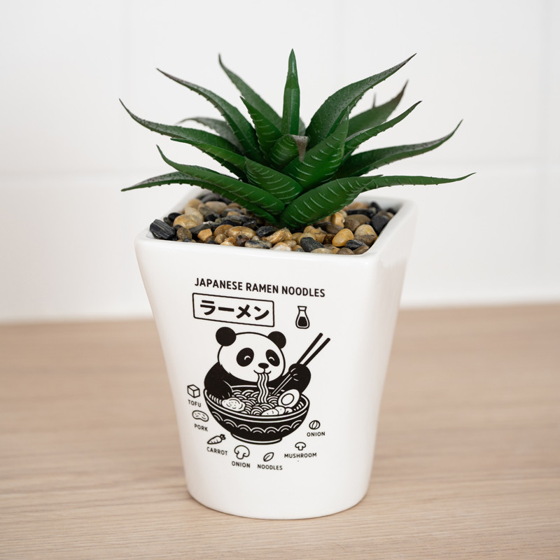 Succulente pot ramen