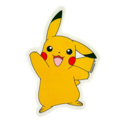 Gomme pokemon xxl