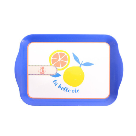 Plateau en pp 21x14cm