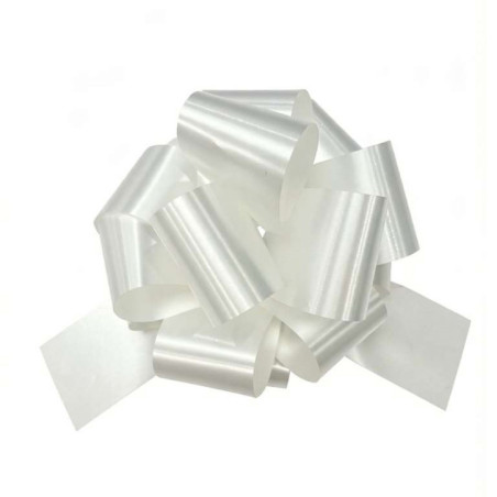Lot de 10 rubans fleurs